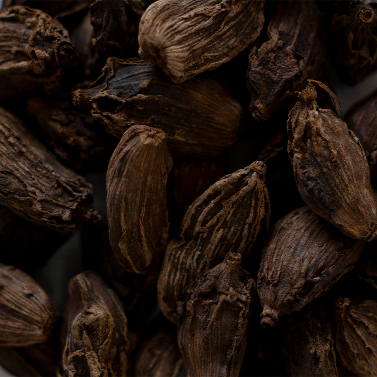 Cardamome
